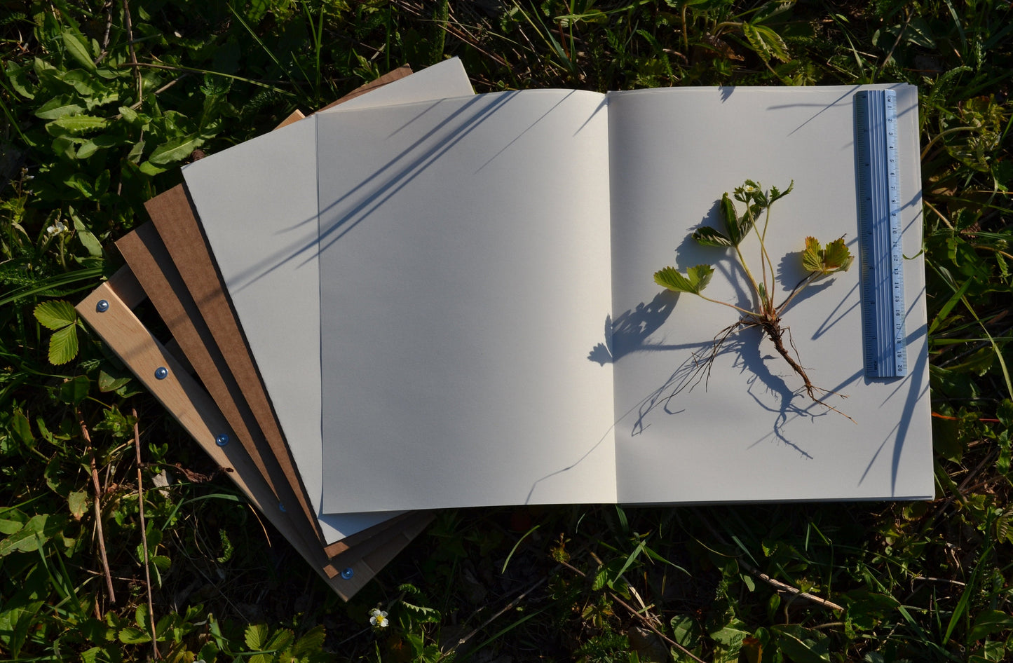 Medium A4 Plant Press Kit 9" x 12"