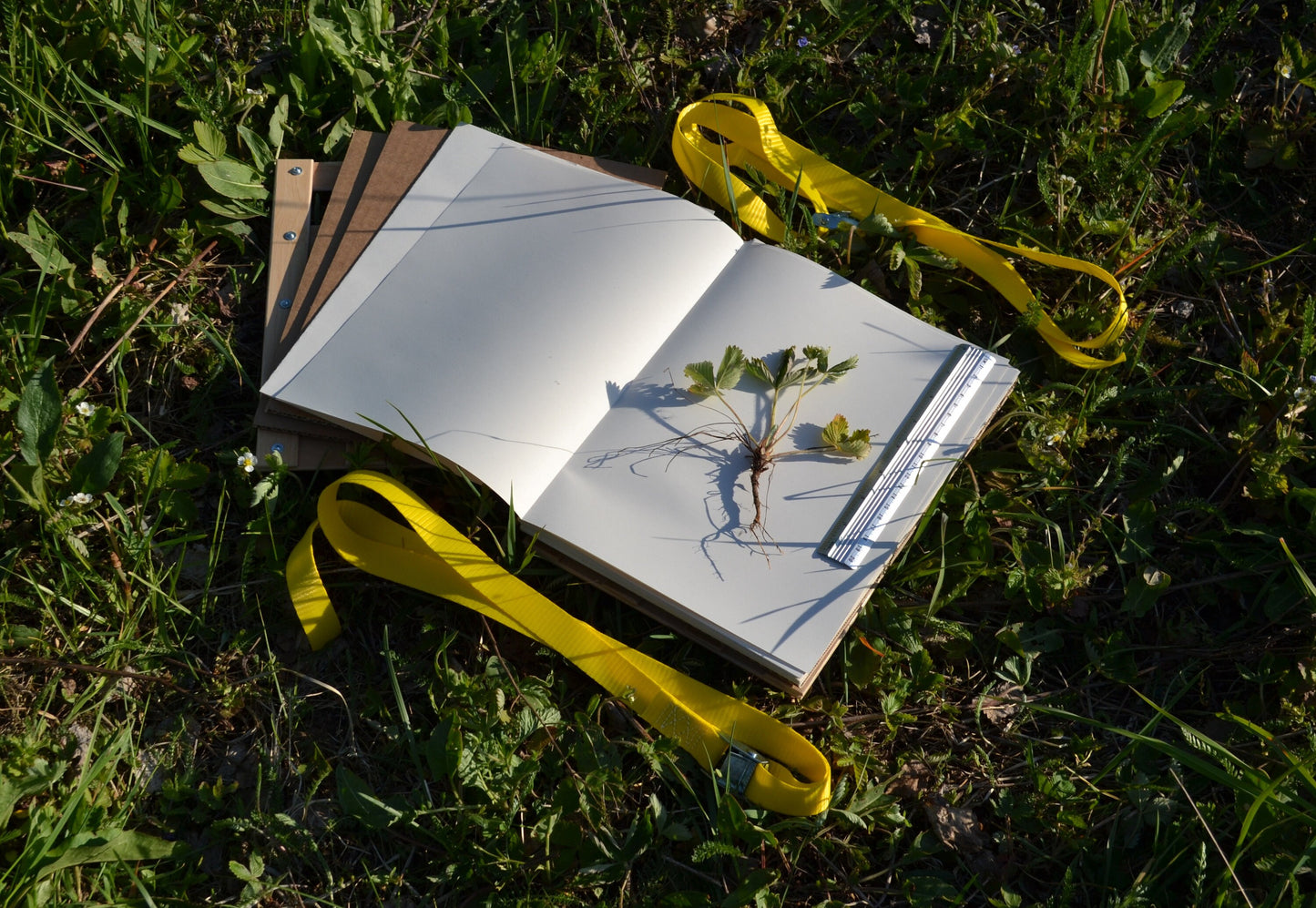 Medium A4 Plant Press Kit 9" x 12"