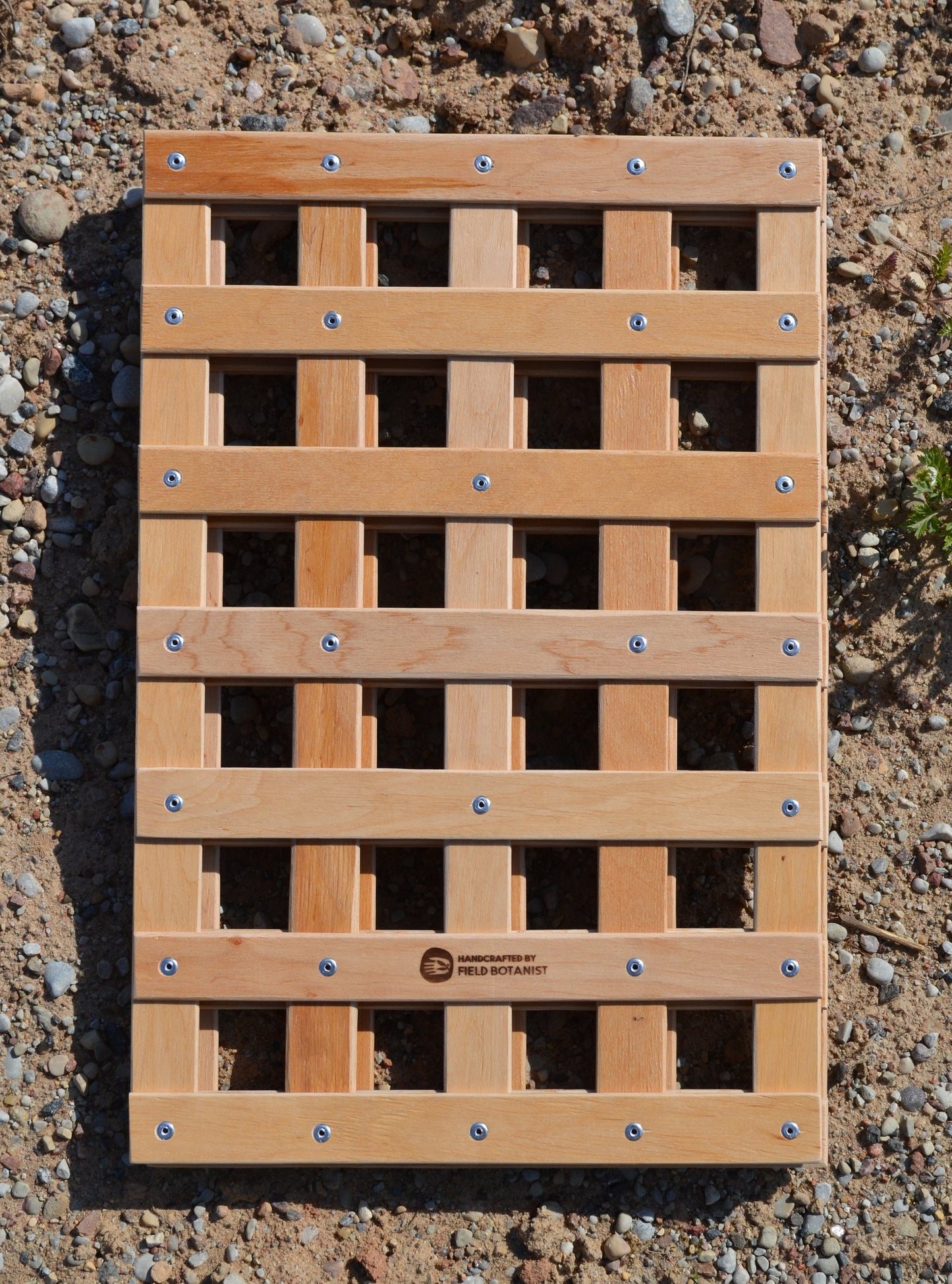 Large A3 Professional Plant Press (ONLY Herbarium frames) 12" x 18"