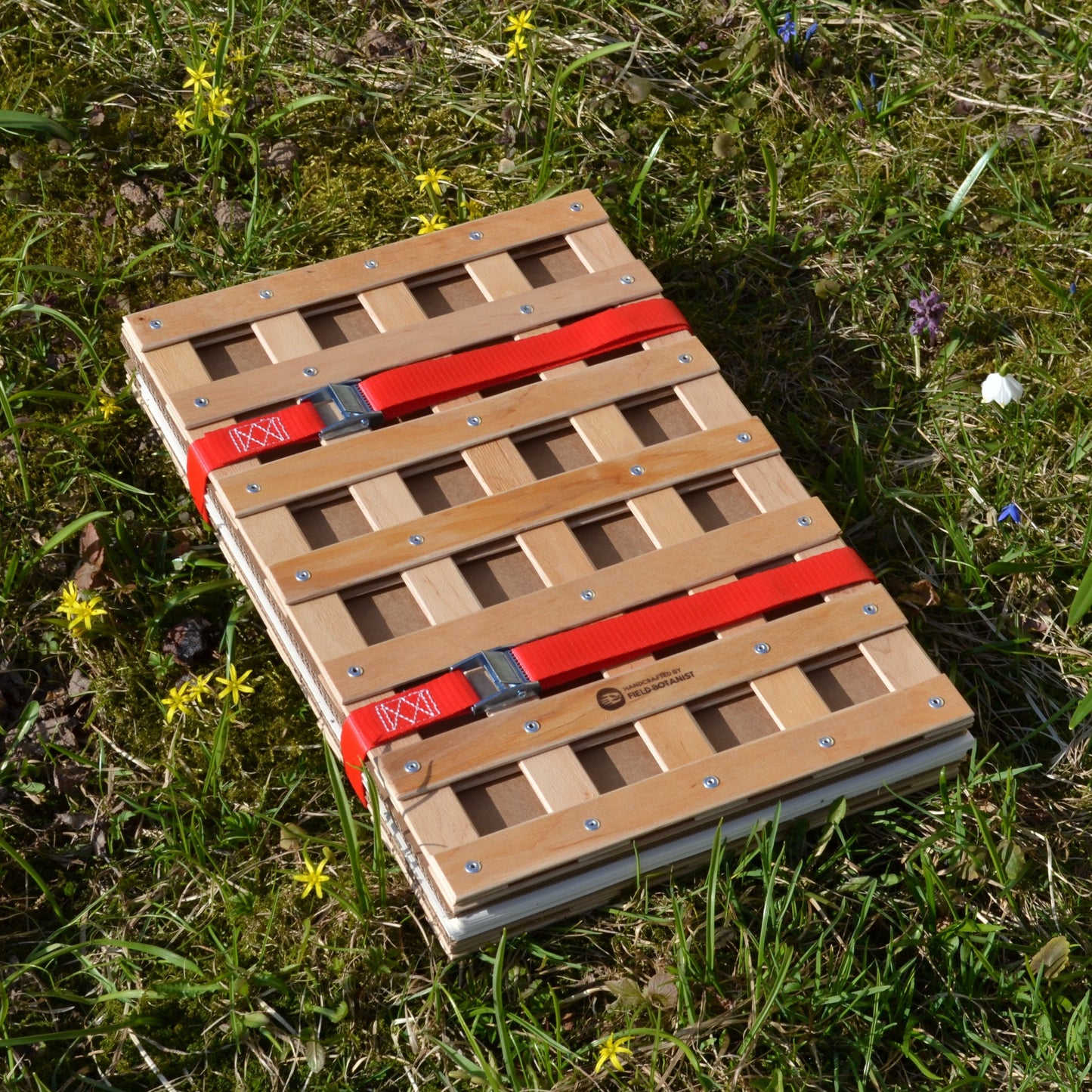 A3 herbarium press in the field on grass