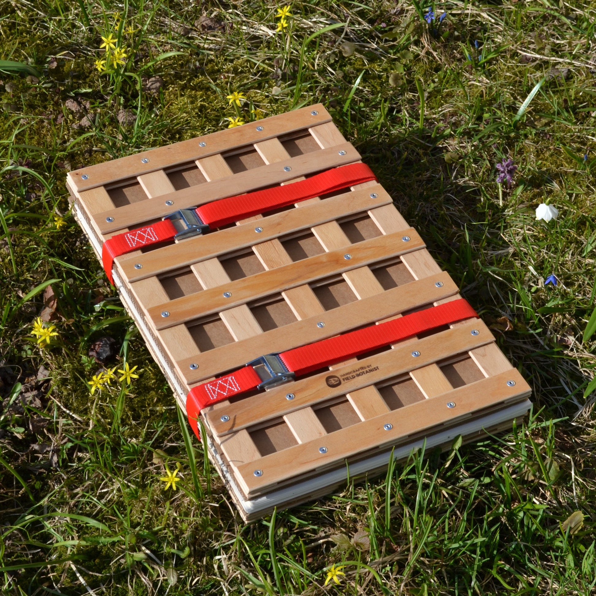 A3 herbarium press in the field on grass