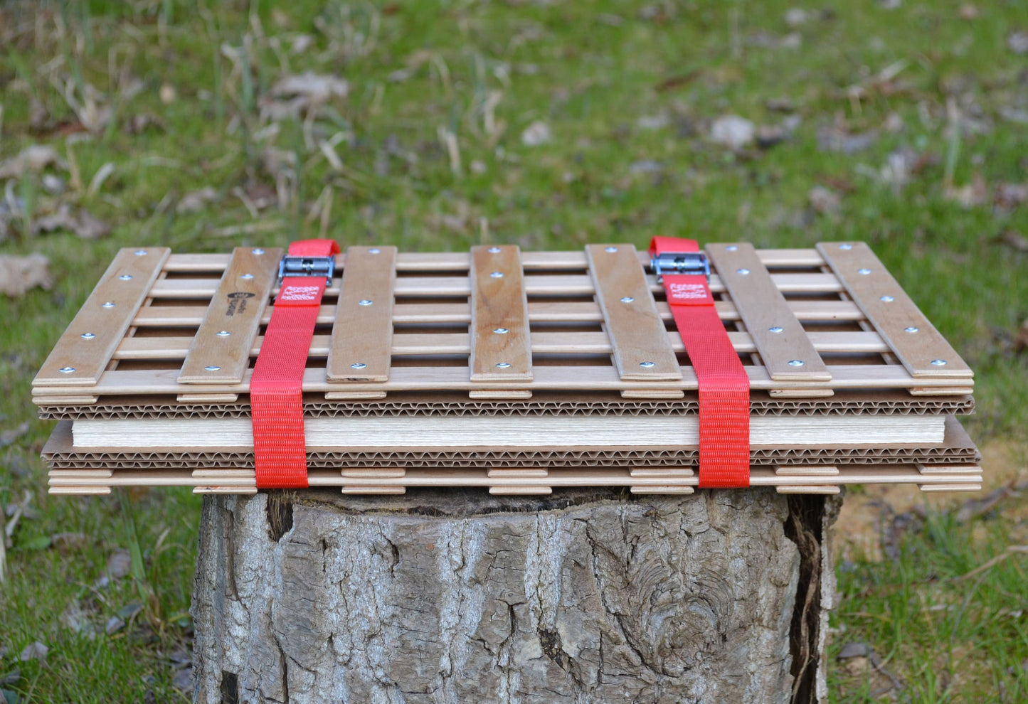 Using the herbarium press: tightening straps