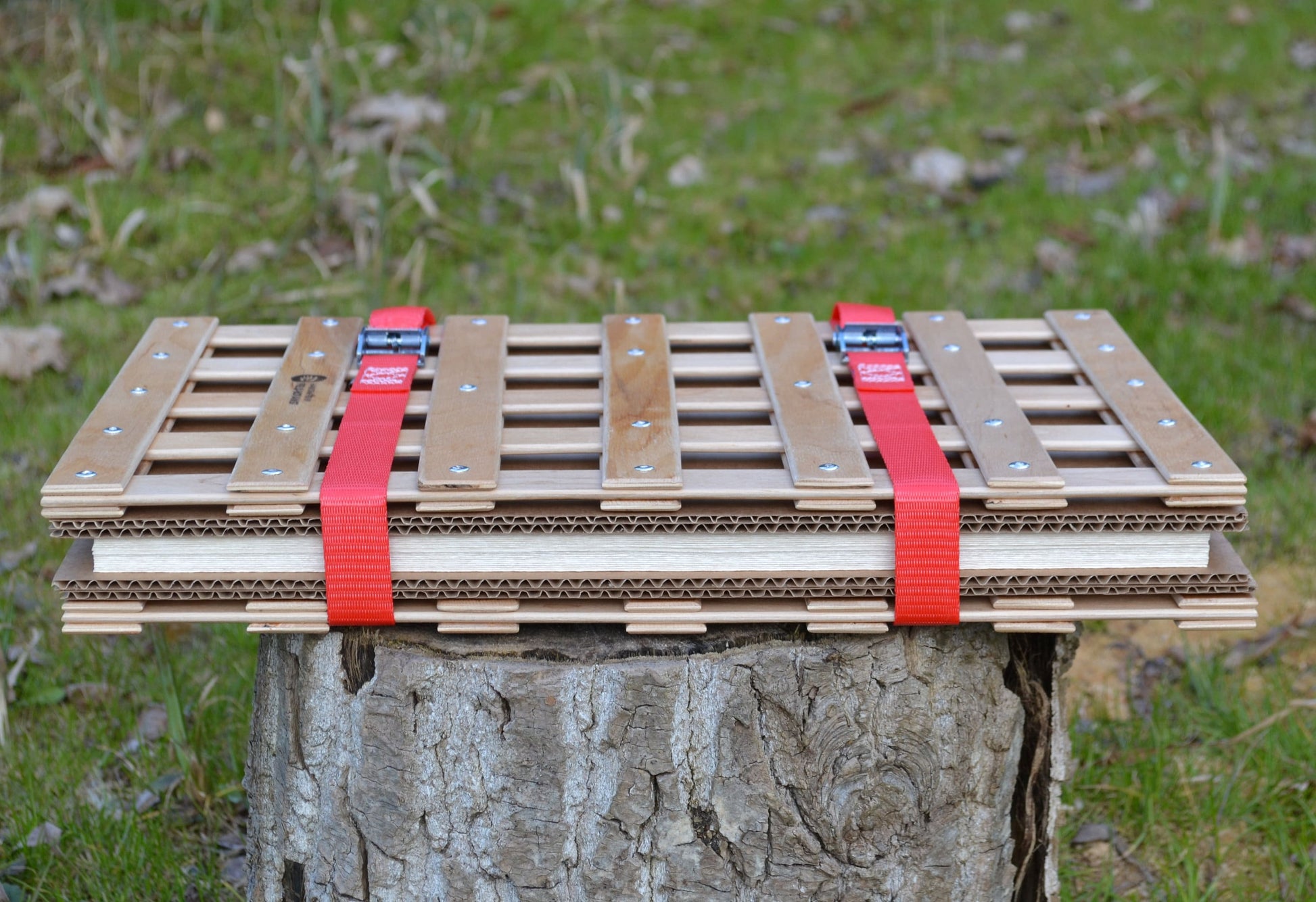 Using the herbarium press: tightening straps