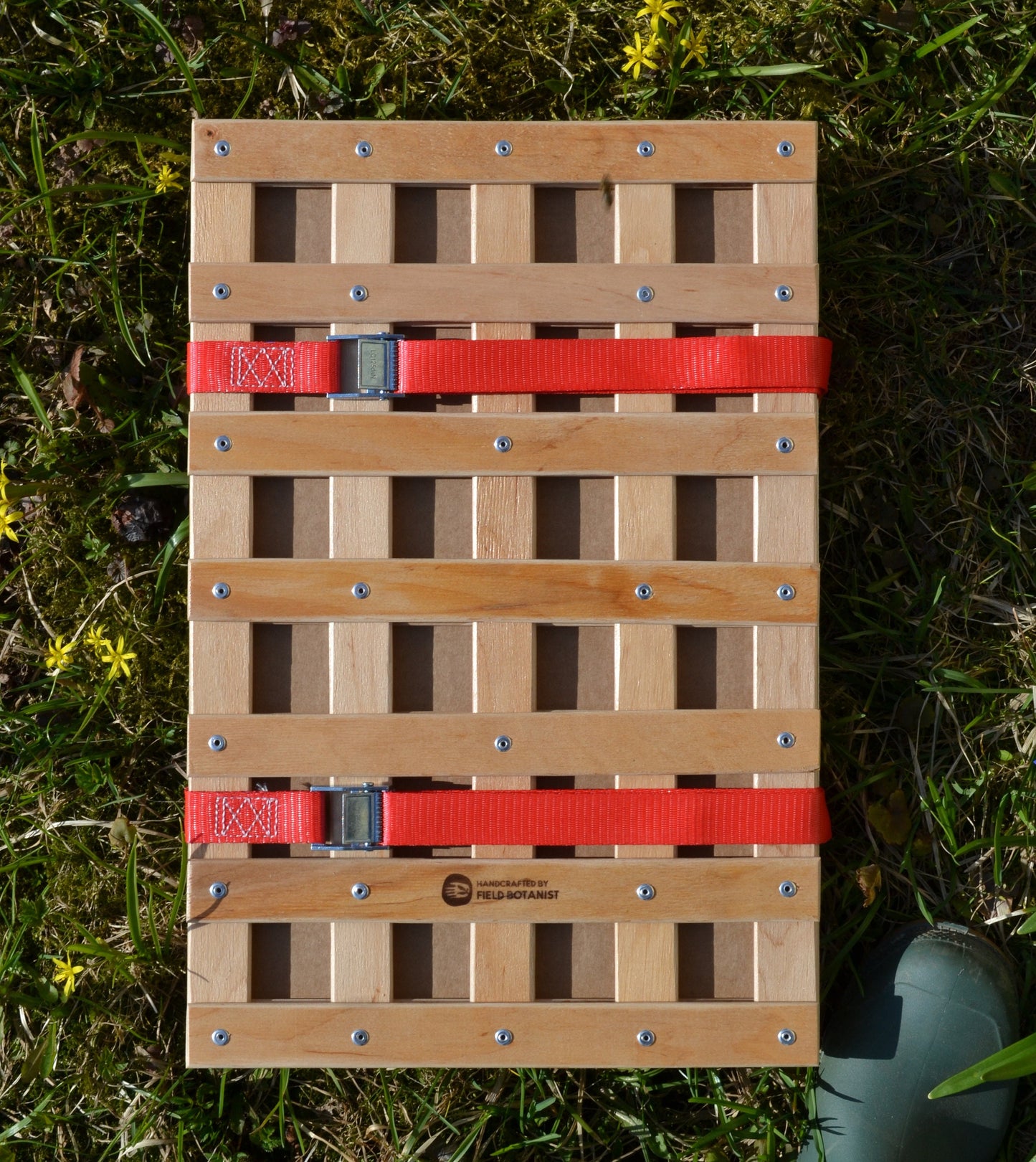 A3 herbarium press kit with birch frames and straps, top view