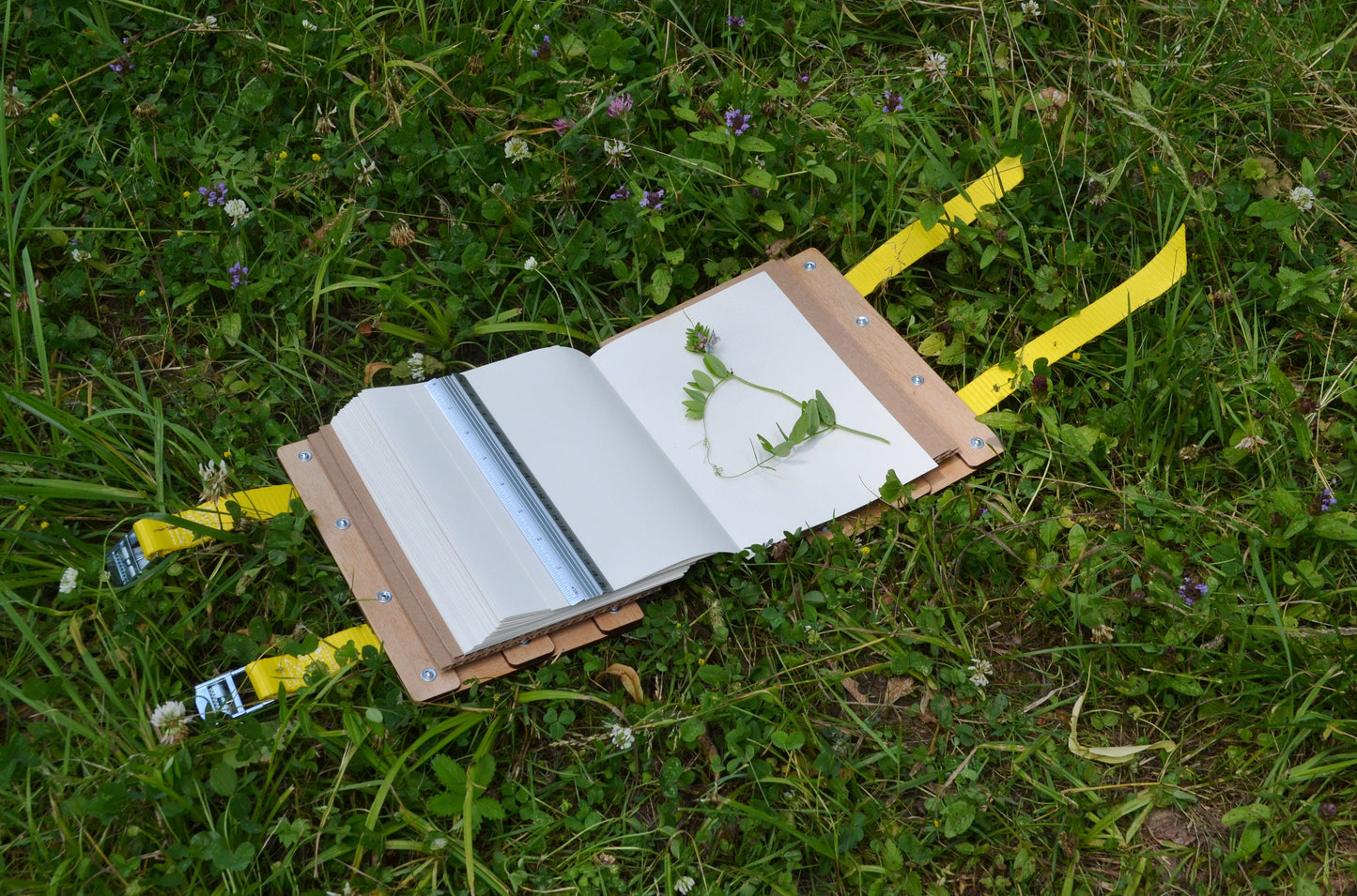 Small A5 Flower Press Kit 6" x 9" (15 x 22,5 cm)